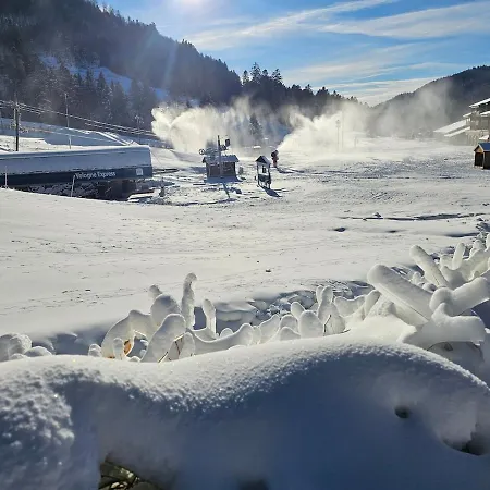 Appartement Le Chant De La Rivière La Bresse