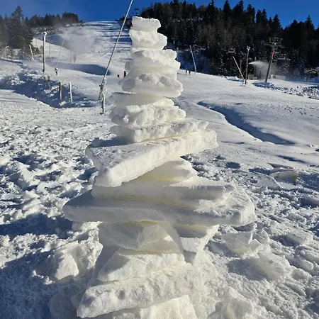 Le Chant De La Rivière Appartement La Bresse